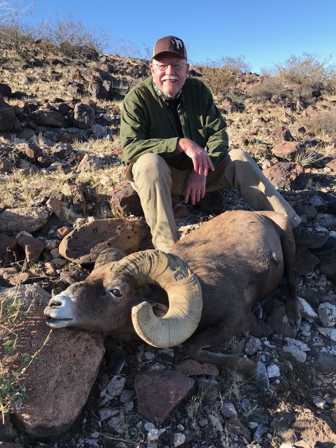 Owen’s Desert Bighorn Sheep